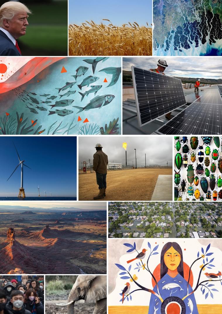 From the E360 Archives