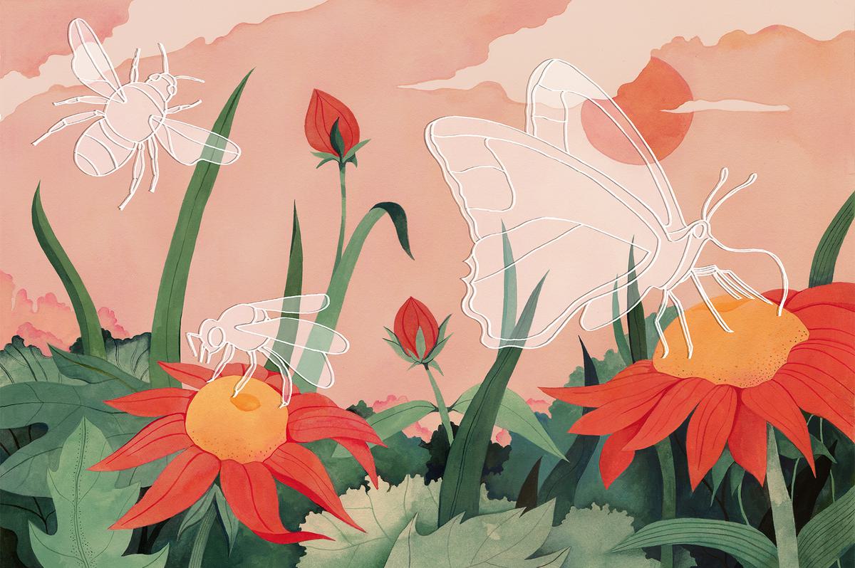 What’s Causing the Sharp Decline in Insects, and Why It Matters - Yale E360