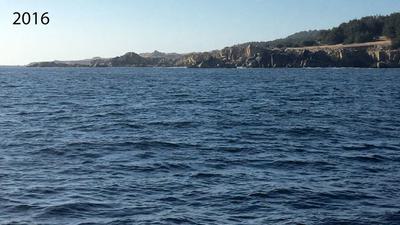 A bull kelp forest as seen from the surface of Ocean Cove in northern California in 2012 and 2016.