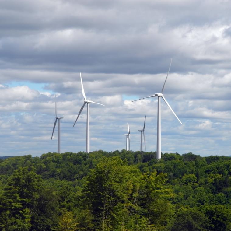 2015 Yale Environment 360 Video Contest