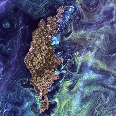 A satellite view of an algae bloom off the Swedish island of Gotland in the Baltic Sea. Such blooms are fueled by fertilizer runoff.