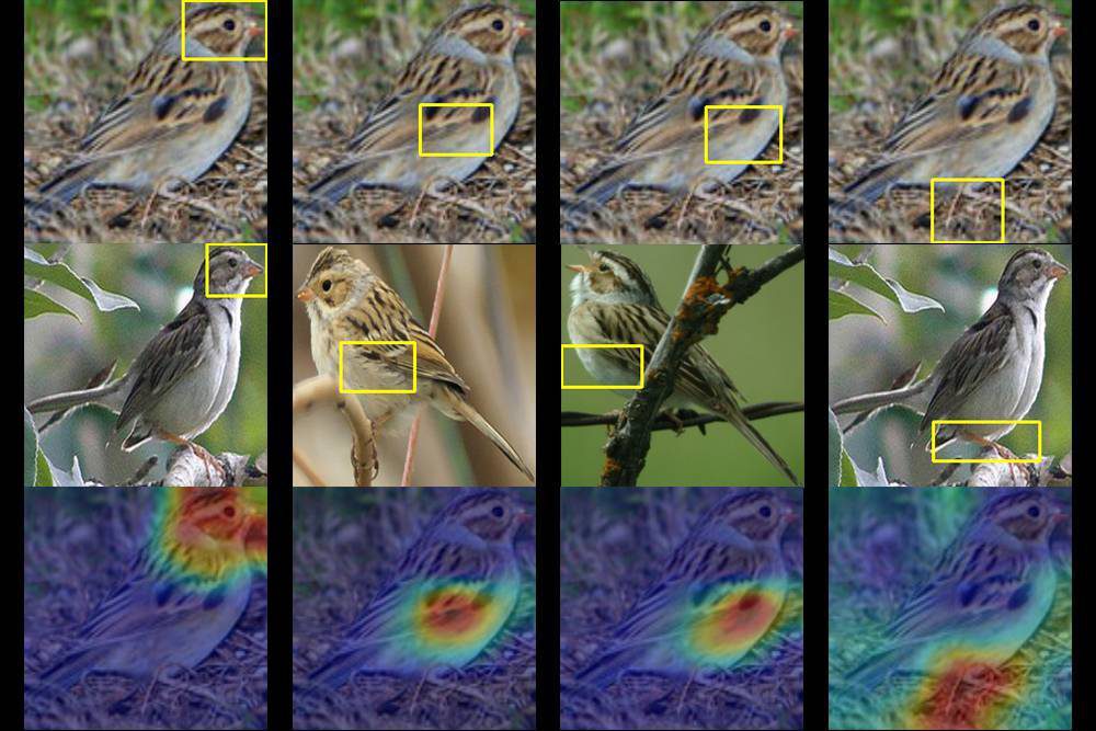 Localizer Array Birds New Artificial Intelligence Helps to Identify, Track Bird Species ...