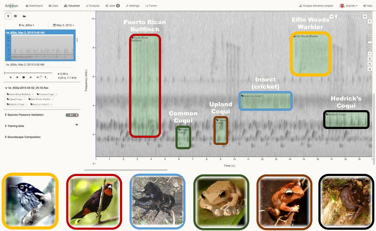 Bioacoustics Graph Listening to Nature: The Emerging Field of Bioacoustics - Yale E360