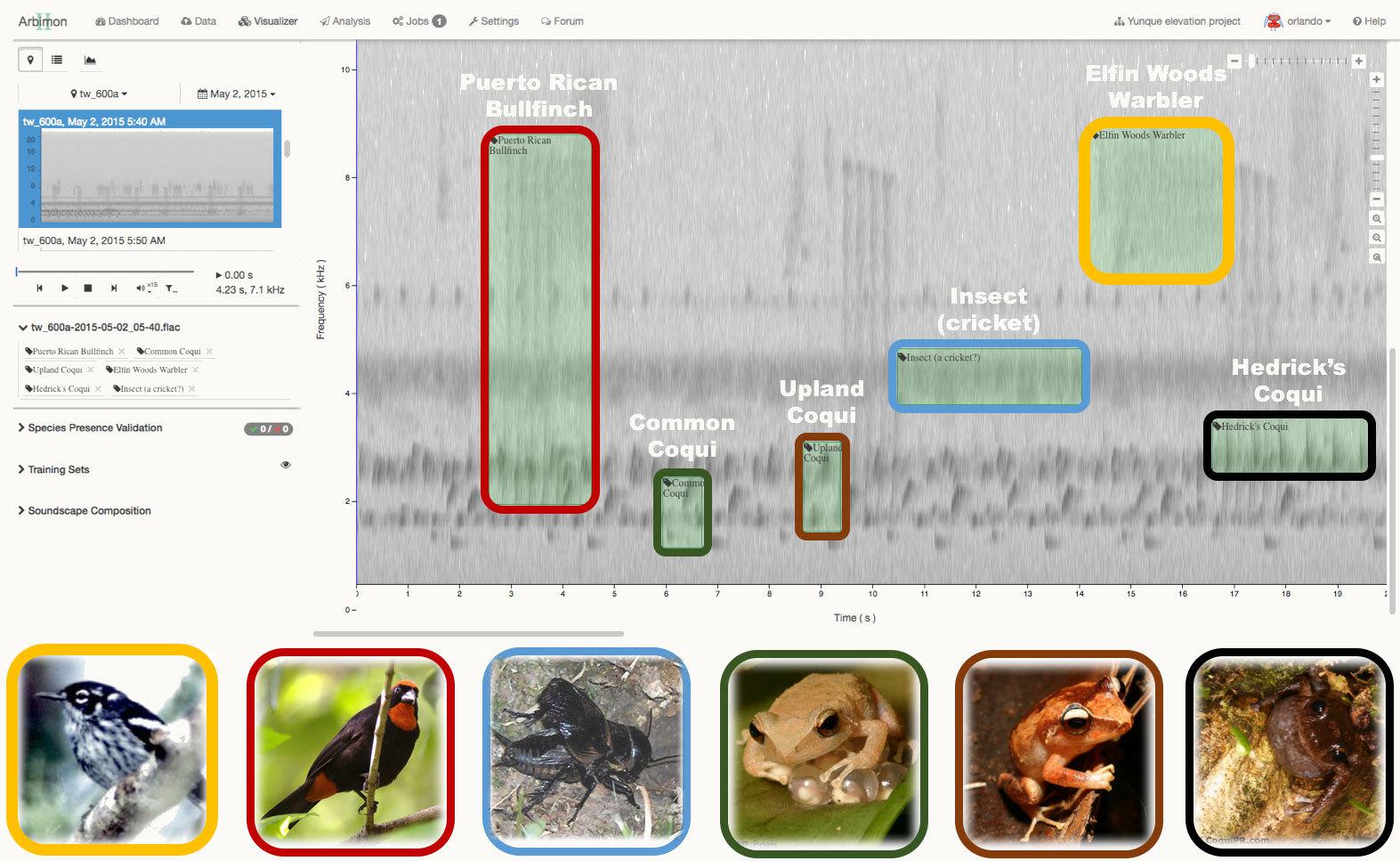 Bioacoustic Spectogram Listening to Nature: The Emerging Field of Bioacoustics - Yale E360