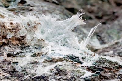 Asbestos fibers in a rock formation.