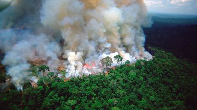 A fire in the Amazon rainforest.