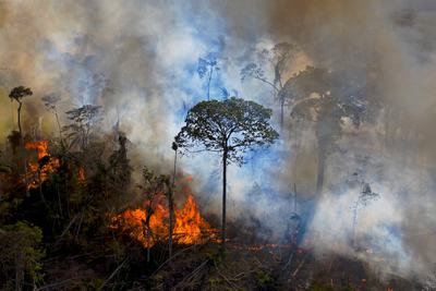 A fire in the Brazilian Amazon.