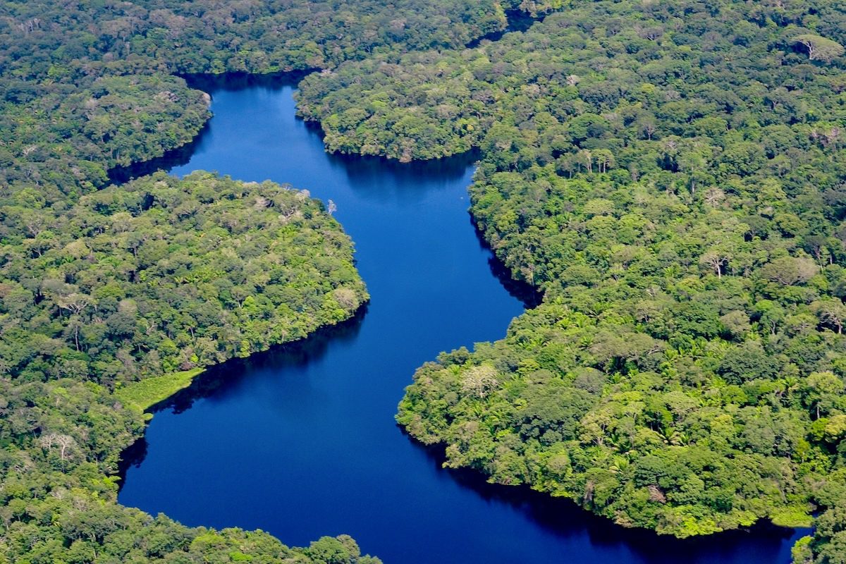 Brazilian Amazon Sees Sharp Drop in Acres Burned