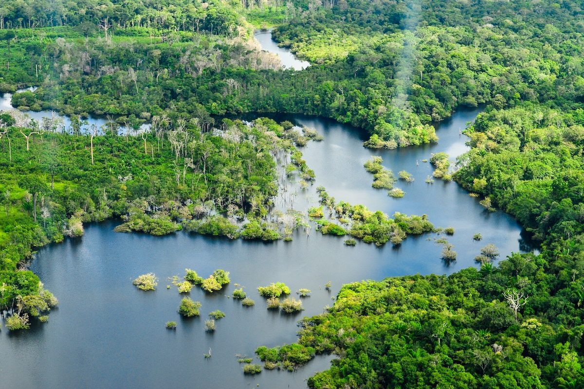 photo of Brazilian Amazon on Track for Record Low Deforestation image