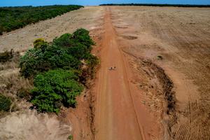 The border between the Cerrado and the Amazon in Brazil.