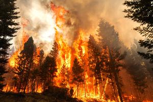 The 2023 Ross Moore Lake wildfire in British Columbia, Canada.