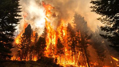 The 2023 Ross Moore Lake wildfire in British Columbia, Canada.