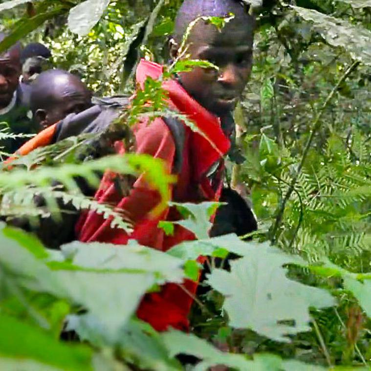 2014 Yale Environment 360 Video Contest