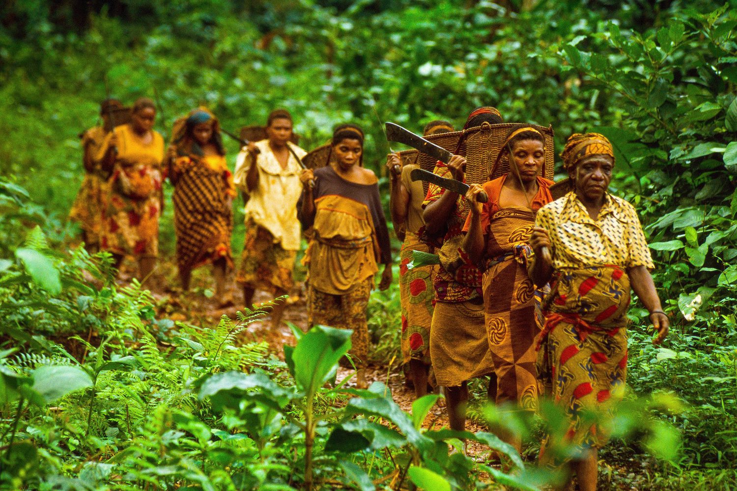 Green Violence: 'Eco-Guards' Are Abusing Indigenous Groups in ...