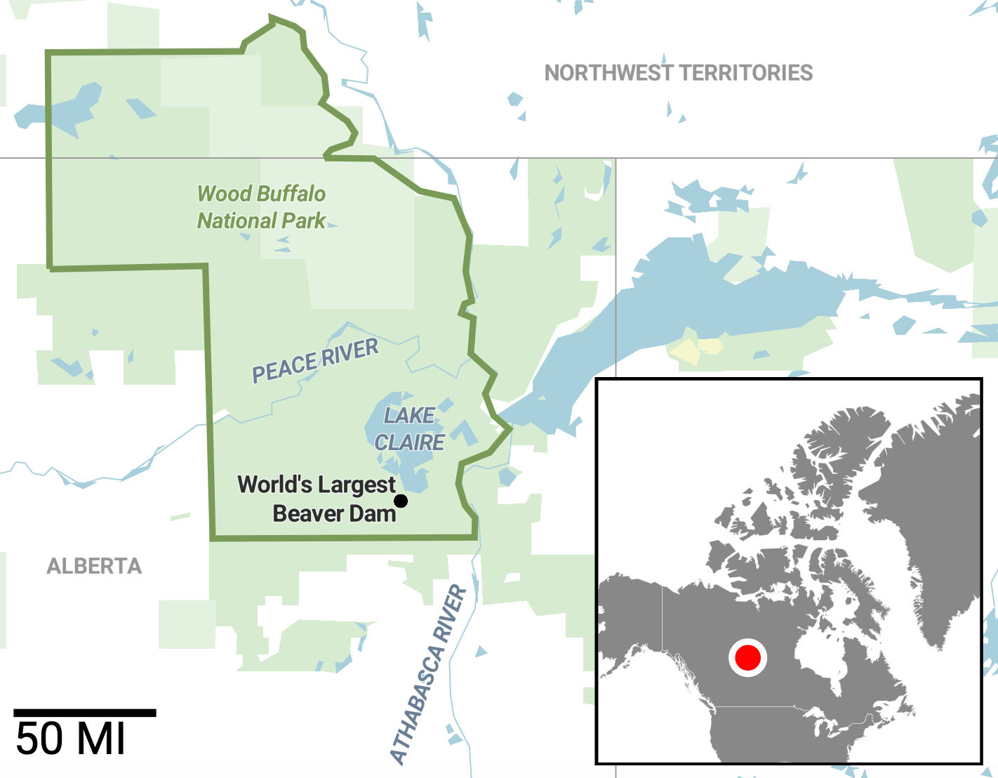 Deep in the Wilderness, the World’s Largest Beaver Dam Endures - Yale E360