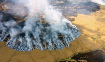 The 2015 Bogus Creek Fire burned through the Yukon Delta National Wildlife Refuge in Alaska.