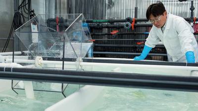 A system for testing technology to draw minerals from seawater at the Pacific Northwest National Laboratory in Sequim, Washington.