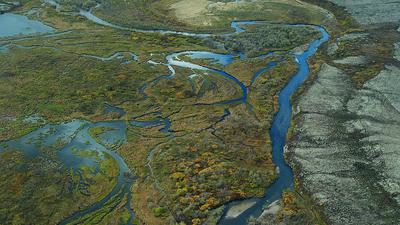Wetlands in the Bristol Bay watershed in Alaska. Under Scott Pruitt, the EPA has moved to remove Obama-era wetlands protections under the Clean Water Act.