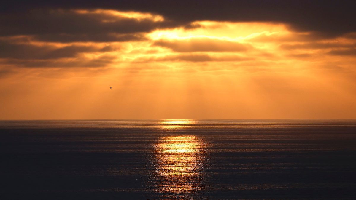 A Surge of Marine Heat Waves Threatens to Scramble Ocean Life