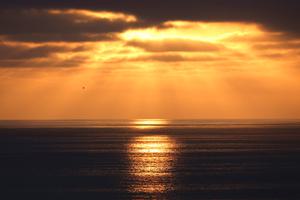 Waters off the coast of Southern California, where a prolonged marine heat wave is disrupting sea life.
