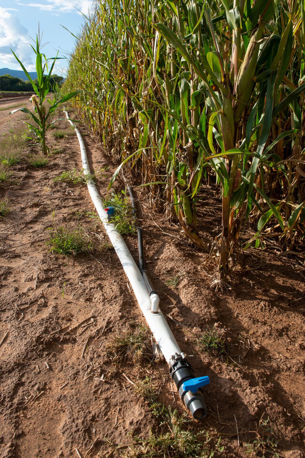 Pvc Module Irrigation Az Flood Irrigation Pvc Pipe Top 17 Irrigation Problems Arizona