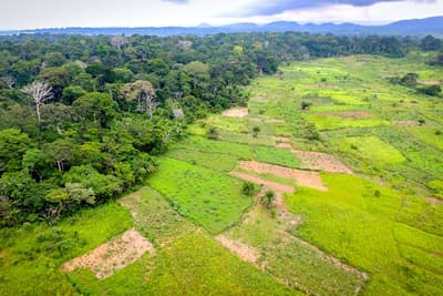 Farmland encroaches on forest in Bokito, Cameroon.
