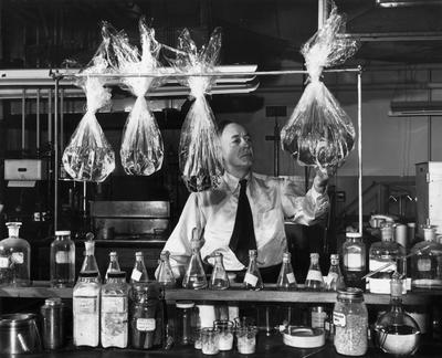 DuPont chemist Hale Charch shows off a new kind of cellophane that is impermeable to water vapor, circa 1927.