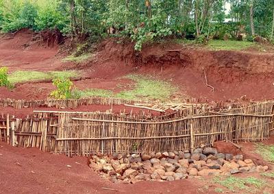 Left: Half-moon ditches trap runoff, helping to nourish plants and combat erosion. Right: A check dam in a gully stems erosion by slowing the flow of water.