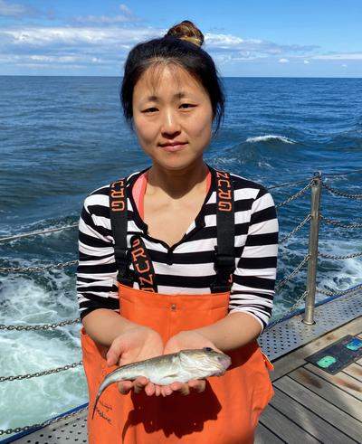 Shrinking Cod: How Humans Are Impacting the Evolution of Species Left: A scientist holds a mature cod in 1987. Right: Biologist Kwi Young Han holding a mature cod today.