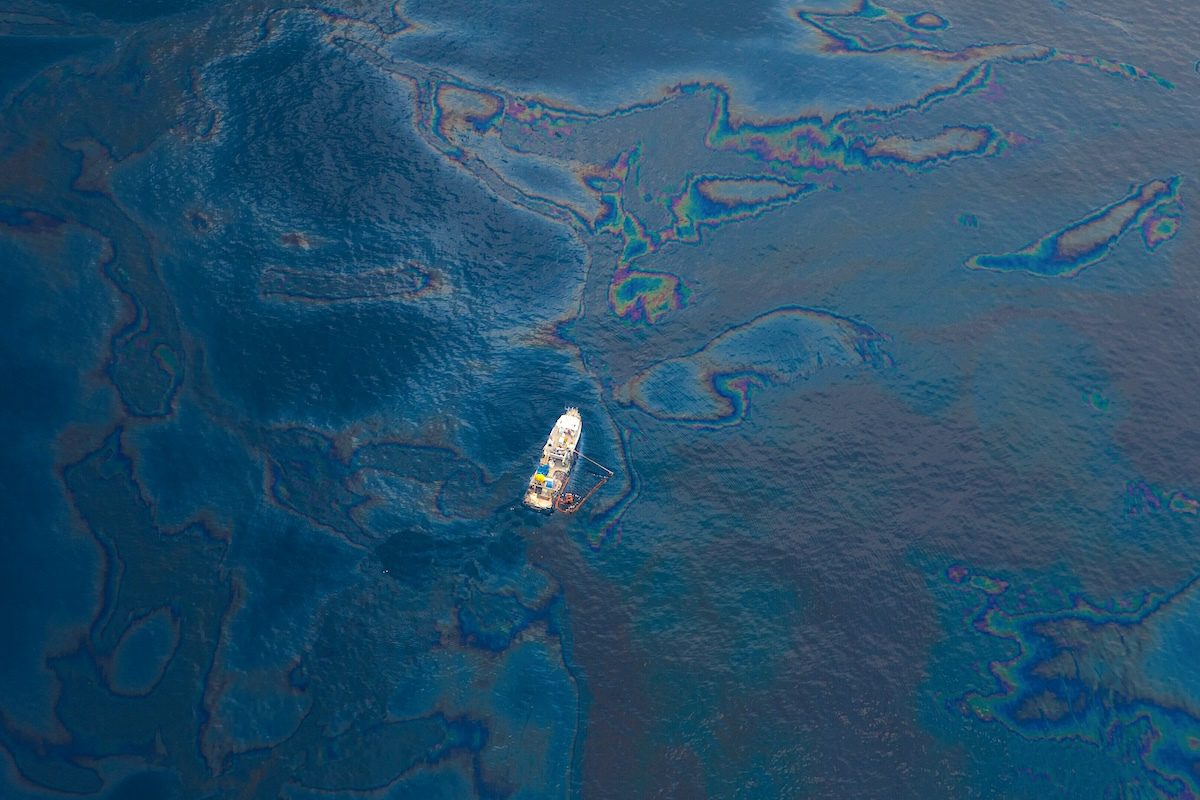 Deep Sea Life Still Struggling 16 Years Post-Deepwater Horizon — Yale E360