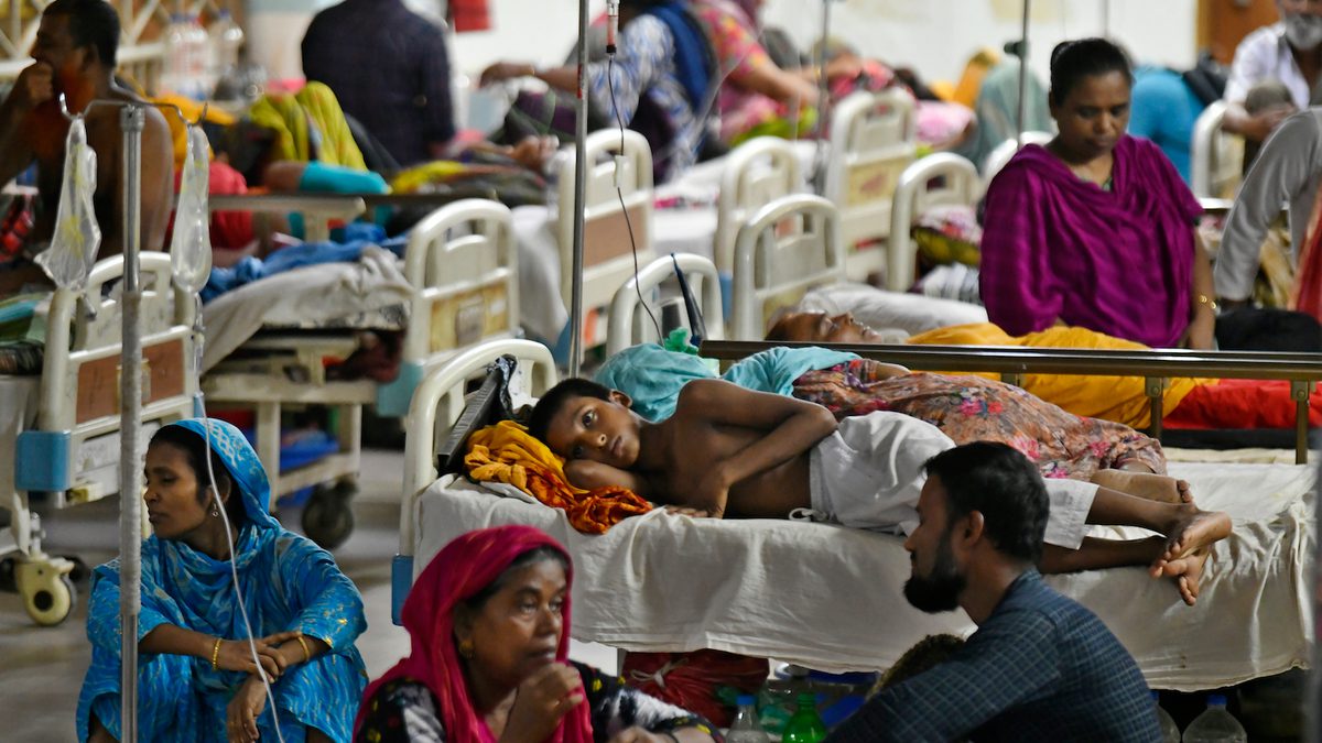 Dengu Environment As Temperatures Rise, Dengue Fever Spreads and Cases Rise - Yale E360