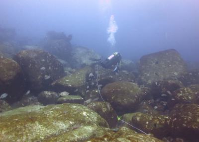 The progression of the destruction of a kelp forest in Tasmania by urchins, from left to right. The Australian island state has lost more than 95 percent its kelp forests in recent decades.