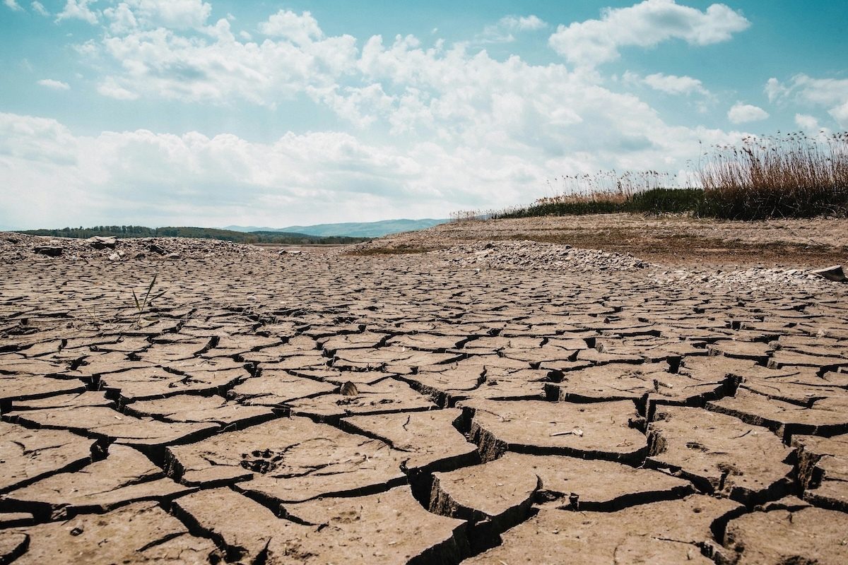 El Niño Raises the Risk of Violent Conflict, Study Finds