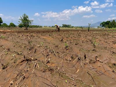 Enipher Jailosi tills her farm a week after floods washed through her village.