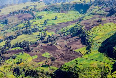 Farms in North Gondar in the Ethiopian highlands. The spread of agriculture has stripped the region of trees.
