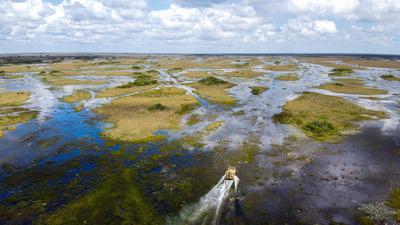 Everglades National Park in Florida. A recently completed project in the nearby Picayune Strand is part of a sweeping effort to restore the Everglades ecosystem.