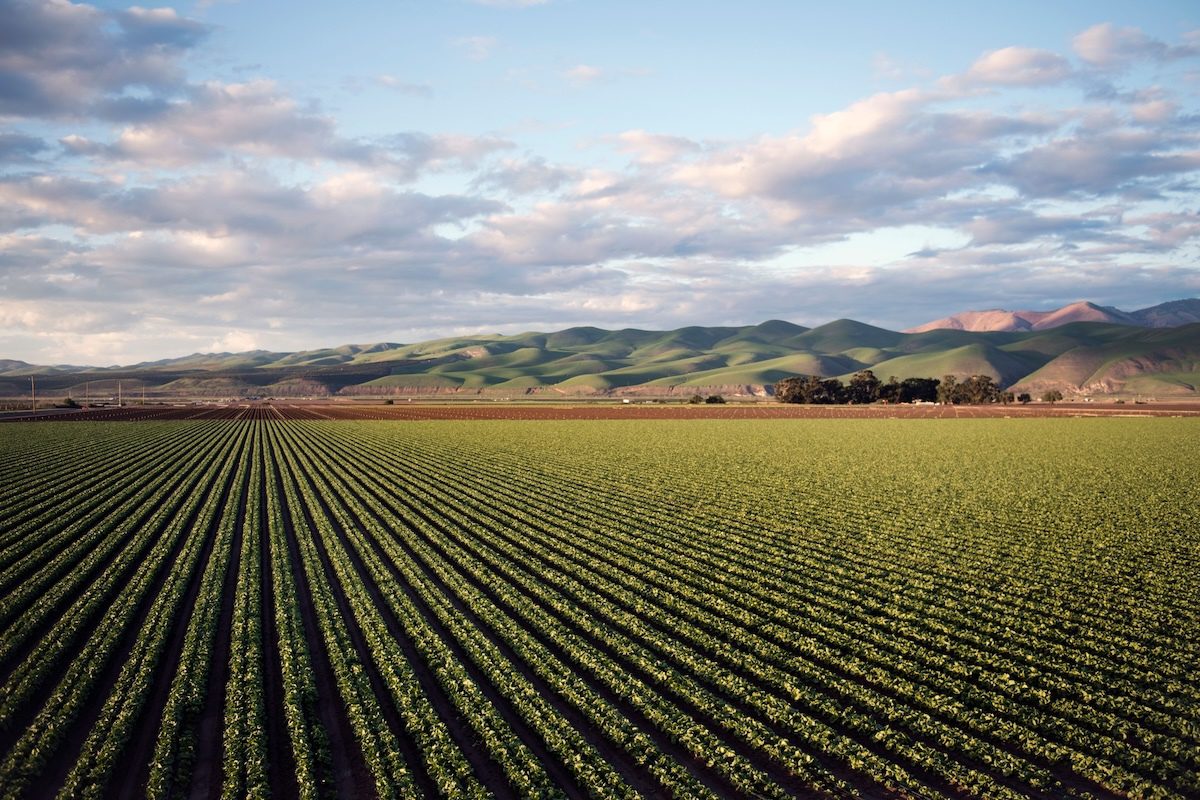 Microplastics in Soil a ‘Trojan Horse’ for Toxins