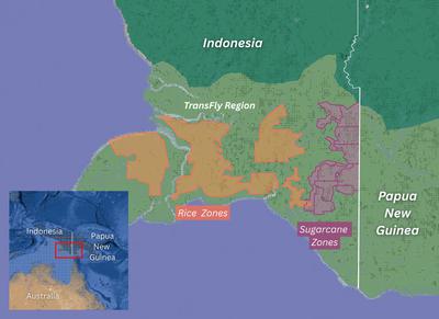In Indonesia’s Rainforest, A Mega-farm Project Is Plowing Ahead The planned Food and Energy Estate. Source: Mighty Earth.