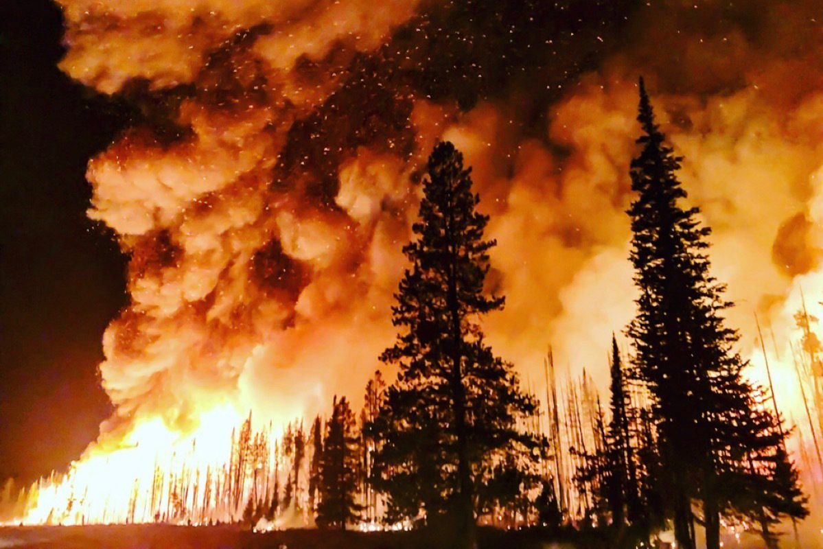 Scientists See Growing Risk of 'Hothouse Earth' as Warming…