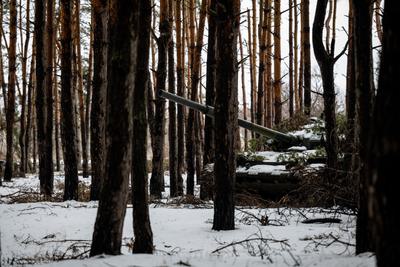 Украинский танк, спрятанный в лесу в Донецкой области в феврале 2023 года.