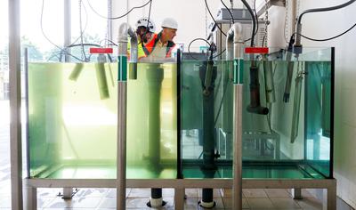 Water before (left) and after (right) a fourth stage of purification at a wastewater treatment plant near Frankfurt, Germany.