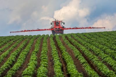 A farmer in Dürmentingen-Heudorf, Germany, sprays fungicide on his potato field. Fungicides may be making it harder for bees to recognize floral odors.
