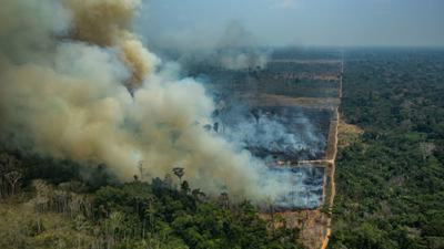 Forest fires in the Amazon in the state of Rondônia, Brazil in August 2019.