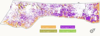Damage as of October 8, 2025. Adapted by Yale Environment 360.