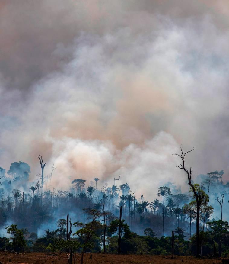 The Vanishing Amazon