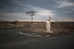 A radiation monitoring station alongside a road in Namie, Japan.