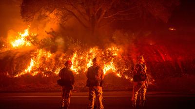 Firefighters battle a wildfire near Mariposa, California.