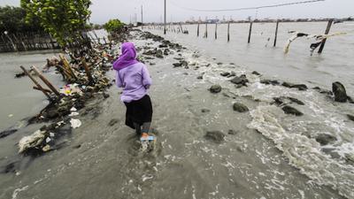 Ocean Justice: Where Social Equity and the Climate Fight Intersect ...