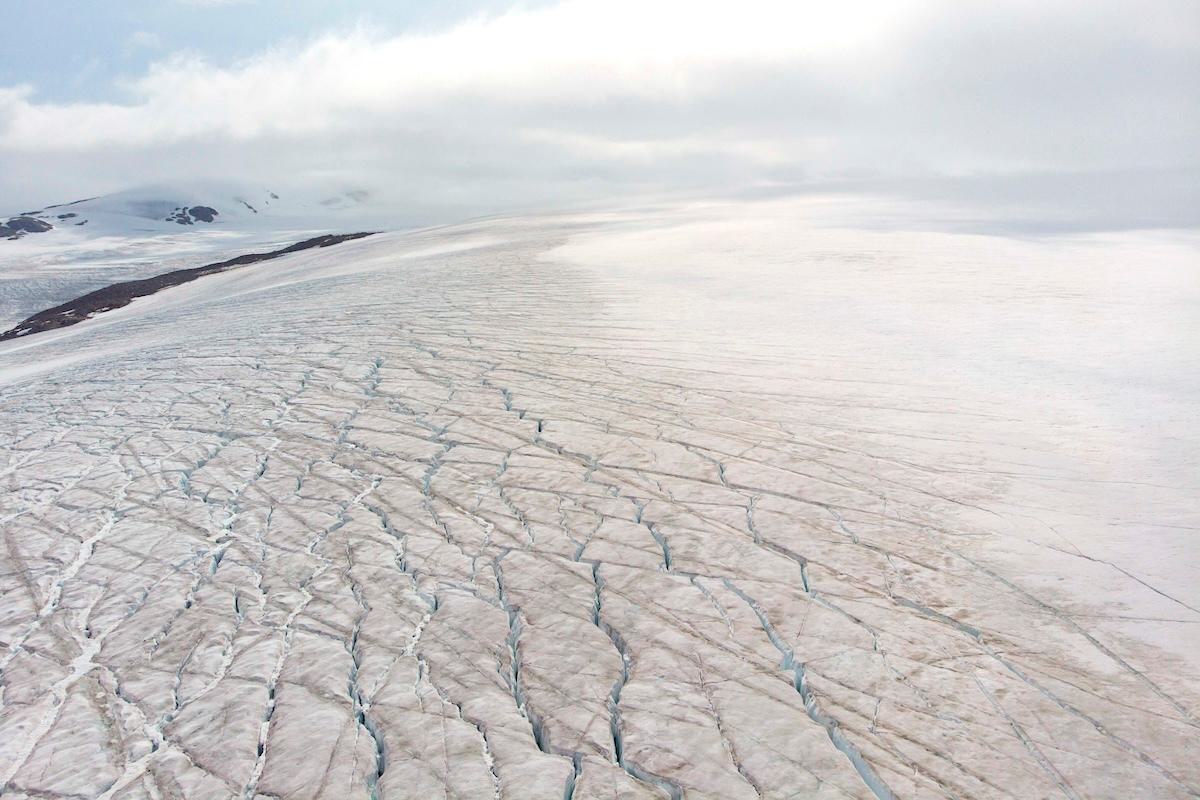 Spread of Dark Algae Could Hasten Melt of Greenland Ice Sheet