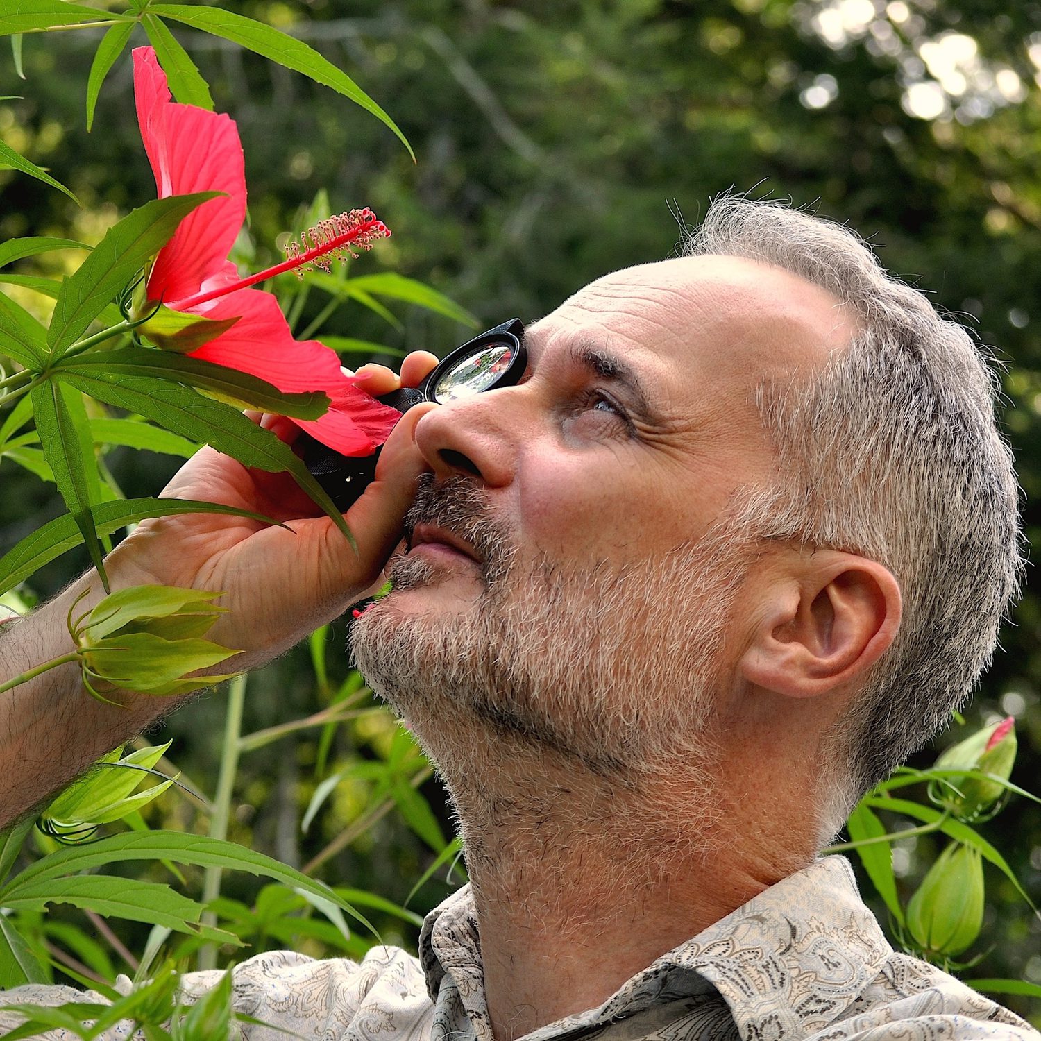 George Haskell Why Protecting Flowering Plants Is Crucial to Our Future - Yale E360